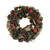 Bird Cones & Red Frosted Apples Wreath (36cm)