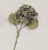 Green with Blue Tinge Hydrangea Flower (61cm)