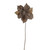 Gold Poinsettia (56cm)