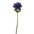 Dark Purple Anemone Single Stem (35cm)
