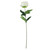Essential Ivory Arundel Garden Peony (57cm)