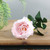 Essential Light Pink Arundel Garden Peony (57cm)