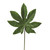 Green Aralia Leaf (38cm)