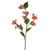Apricot Alice Mini Hydrangea Spray (81cm)