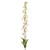 Cream Foxglove (107cm)
