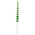 Green Bell of Ireland (102cm)