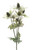 Green Sea Holly Spray (81cm)