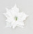 Cream Snow Dusted Poinsettia with Clip (25cm)
