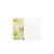 White Chrysanthemum Florist Card (Pack of 50)
