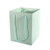 Pearlised Willow Green Hand Tie Bag (25cm H)