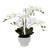 White Orchid with 5 Stems in Black Ceramic Pot (63cm H)