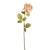 Vintage Cream Etching Rose Stem (64cm)