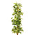 Variegated Leaves Pothos Potted Plant (122cm H)