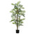 Green Parlour Palm Tree Potted Plant (122cm H)