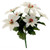 White Poinsettia Bush x 7