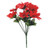 Red Poinsettia Bush x12