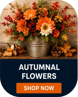 Autumn Flowers 2026