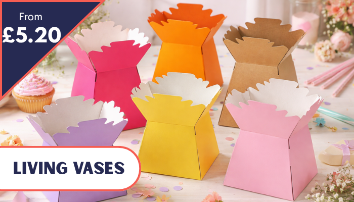 Living vases from £5.20 