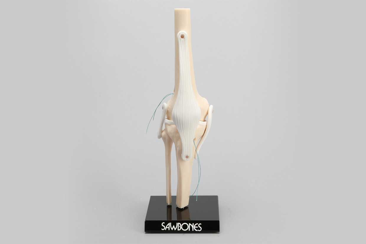 Articulating vs. Non Articulating Bone Models: Comparing the Benefits of Each