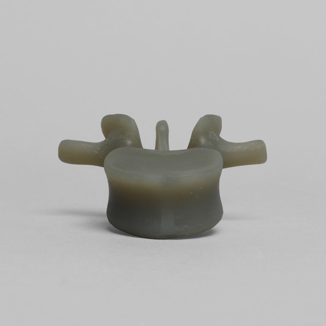 Lumbar L1, absolute™ 4th Gen., Large - Sawbones