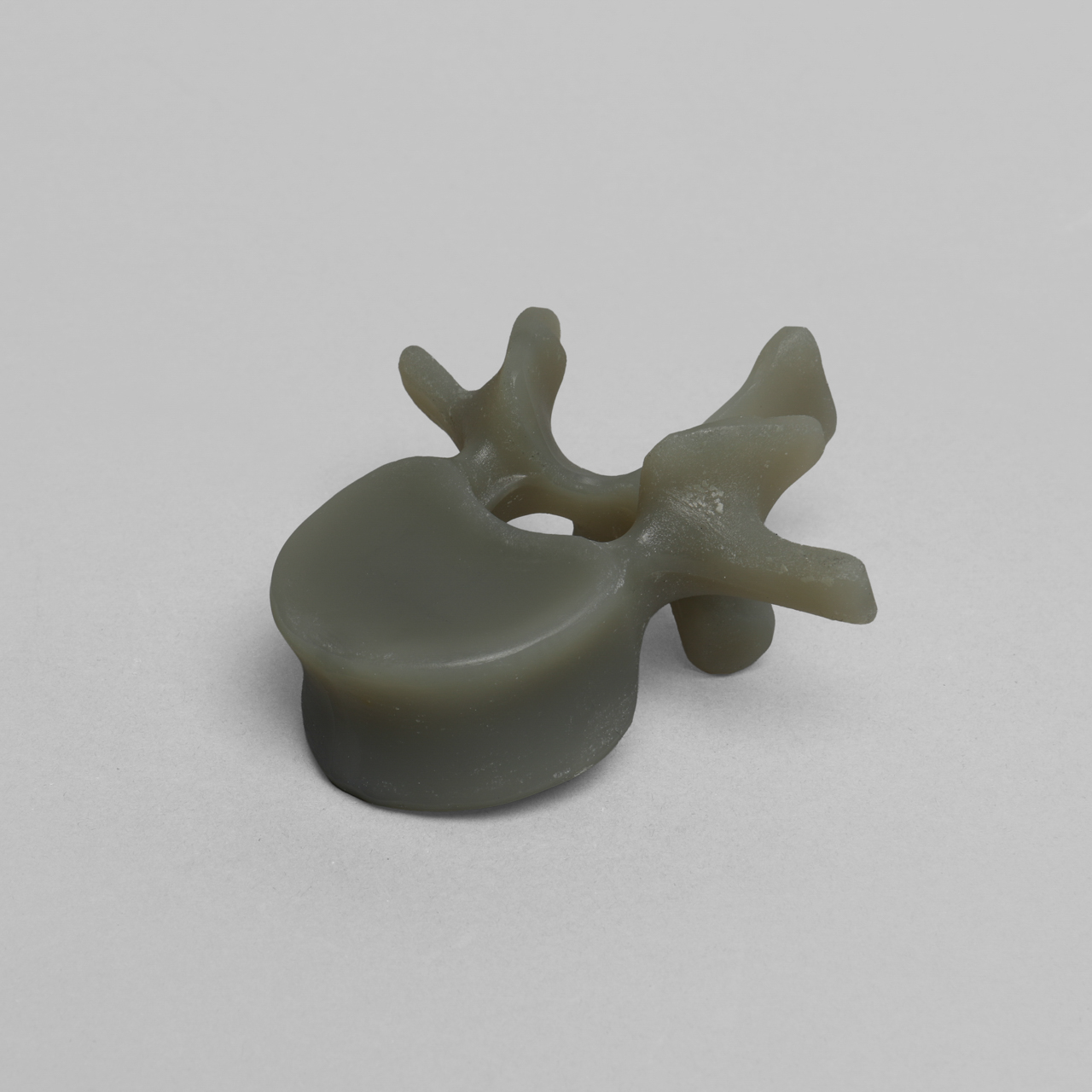 Lumbar L1, absolute™ 4th Gen., Large - Sawbones