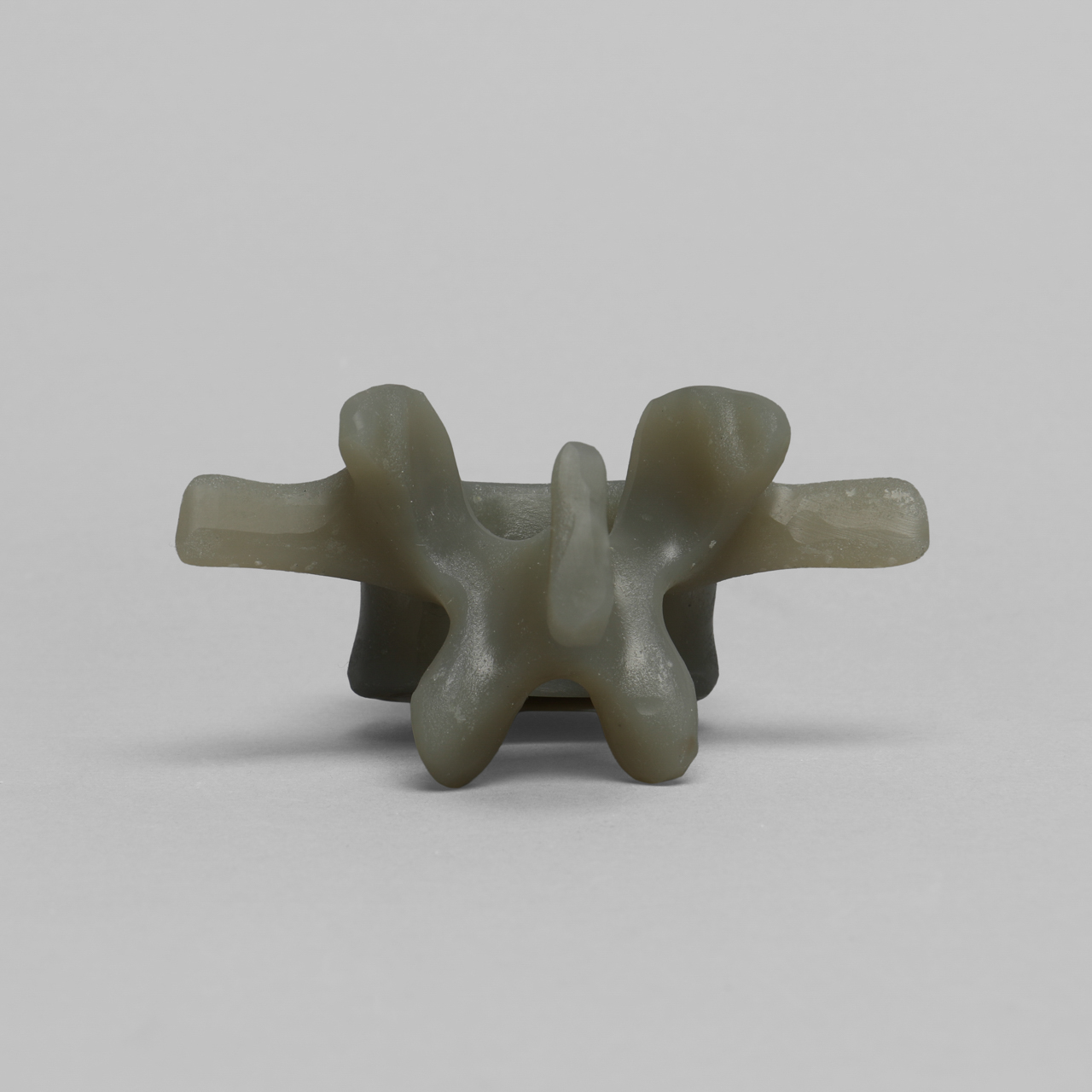 Lumbar L1, absolute™ 4th Gen., Large - Sawbones