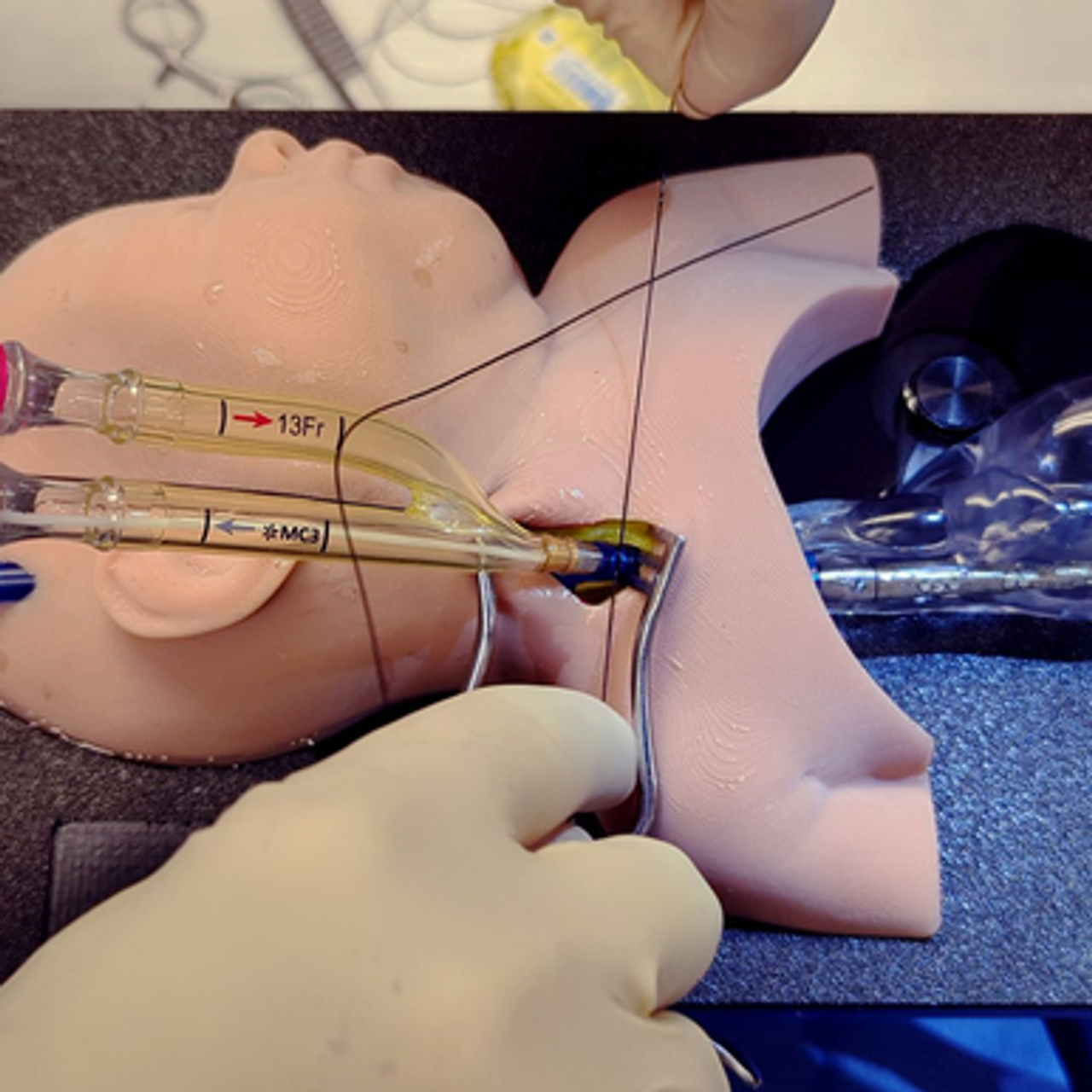 RediStik Neonatal ECMO Cannulation Trainer - Sawbones