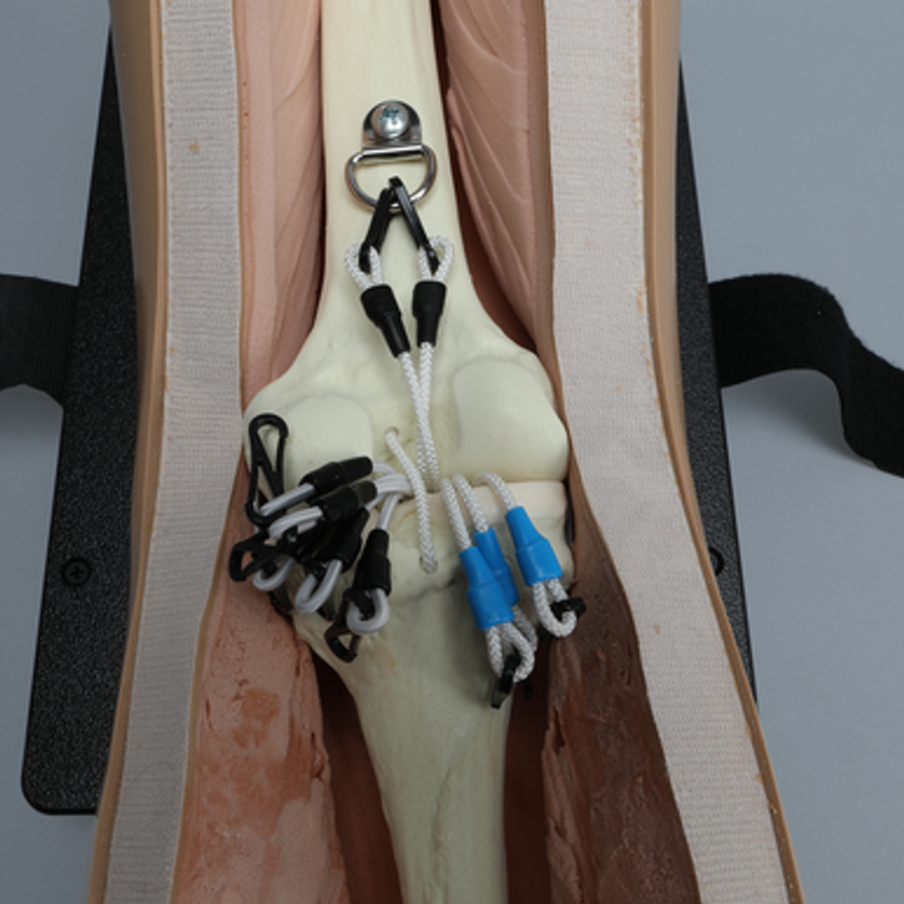 ALICE Knee Simulator with Base - Sawbones