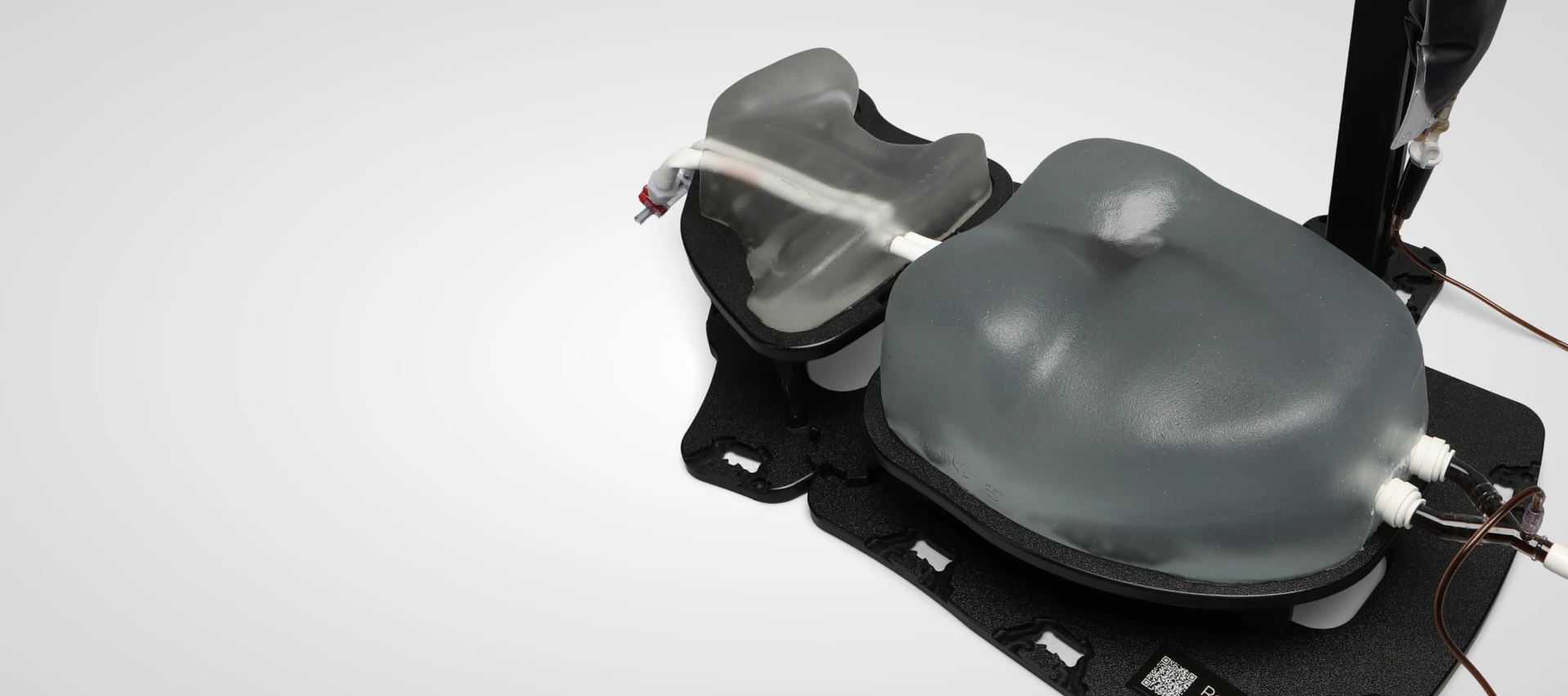Sawbones adult neck and chest cannulation trainers mounted on a base for ultrasound-guided CVC, ECMO, ECPR, and HD catheter training.