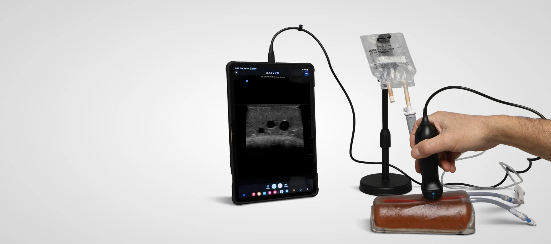 Clinician scanning a Sawbones branching 3-vein access trainer with an ultrasound probe, with vessels displayed on a connected tablet.