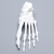 Foot, Solid White Plastic, Left Foot, Solid White Plastic, Left
