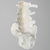 Lumbar Vertebrae, L3-Sacrum, With White Discs Lumbar Vertebrae, L3-Sacrum, With White Discs