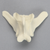 Canine Vertebra, L4, Solid Foam Canine Vertebra, L4, Solid Foam