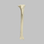 Canine Tibia, Foam Cortical Shell, Right Canine Tibia, Foam Cortical Shell, Right