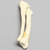 Canine Radius and Ulna with Distal Transverse Fractures, Solid Foam, Small