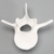 Vertebra, L3, Solid White Plastic Vertebra, L3, Solid White Plastic