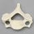 Vertebra, C6, Solid Foam Vertebra, C6, Solid Foam