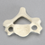 Vertebra, C5, Solid Foam Vertebra, C5, Solid Foam