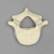 Vertebra, L5, Pediatric, Solid Foam Vertebra, L5, Pediatric, Solid Foam