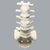 Spine, Lumbar with L4 Spondylolisthesis, Solid Foam Spine, Lumbar with L4 Spondylolisthesis, Solid Foam