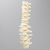 Spine, T7-L5 for Vertebroplasty Trunk #1513-19 Spine, T7-L5 for Vertebroplasty Trunk #1513-19