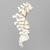 Spine, Lumbar, with Burst Fracture, Foam Cortical Spine, Lumbar, with Burst Fracture, Foam Cortical