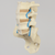 Spine, Lumbar Vertebrae with Nerve Roots and Ligamenta Flava, L3-Sacrum, Solid Foam Spine, Lumbar Vertebrae with Nerve Roots and Ligamenta Flava, L3-Sacrum, Solid Foam