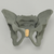 Pelvis with Radiopaque Properties, Pediatric Full Pelvis with Radiopaque Properties, Pediatric Full