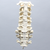 Spine, C1-T3, Ligaments and Tan Discs, Solid Foam Spine, C1-T3, Ligaments and Tan Discs, Solid Foam