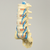 Spine, Lumbar with Nerve Roots and Tan Discs, Solid Foam Spine, Lumbar with Nerve Roots and Tan Discs, Solid Foam