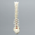 Spine, T1-Sacrum, Solid Foam Spine, T1-Sacrum, Solid Foam