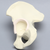 Hemi Pelvis with Labrum and Vise Attachment, Foam Cortical, Left Hemi Pelvis with Labrum and Vise Attachment, Foam Cortical, Left