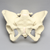 Pelvis with L5 and Movable SI Joints, Full Female, Solid Foam Pelvis with L5 and Movable SI Joints, Full Female, Solid Foam