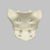 Sacrum, Male, Foam Cortical